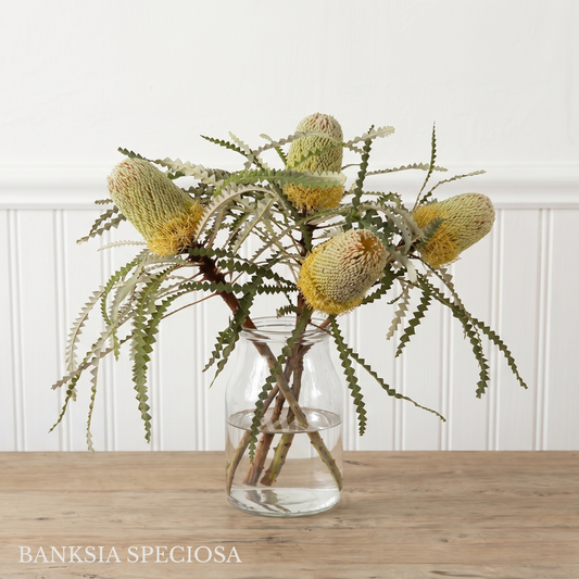 Banksia Box