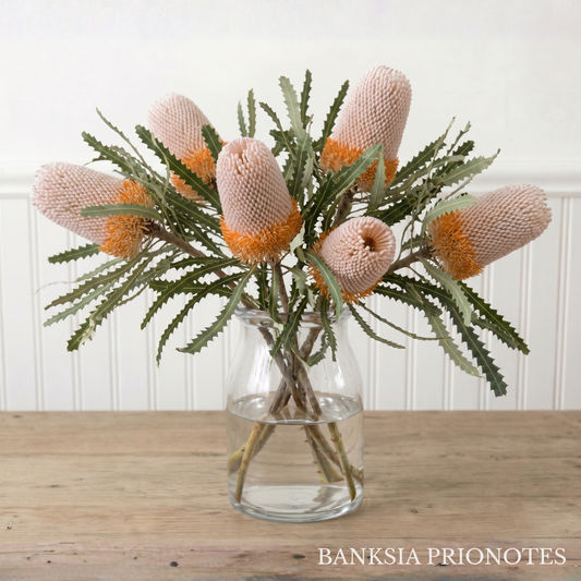 Banksia Box - August Variety: Prionotes