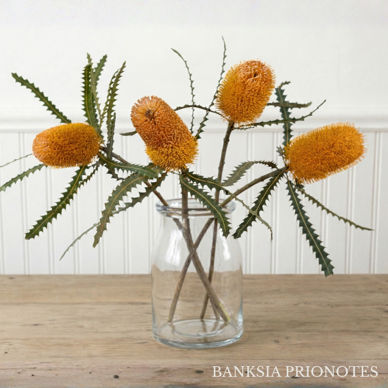 Kendall Farms Banksia Box - Thumbnail 2