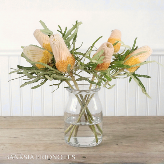 Banksia Box