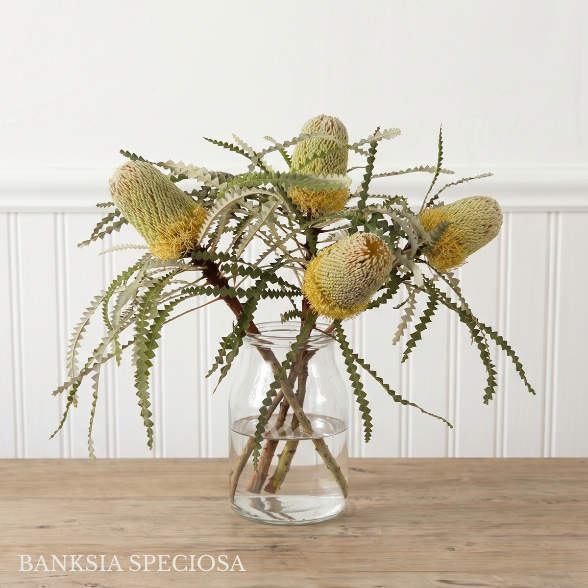Banksia Box