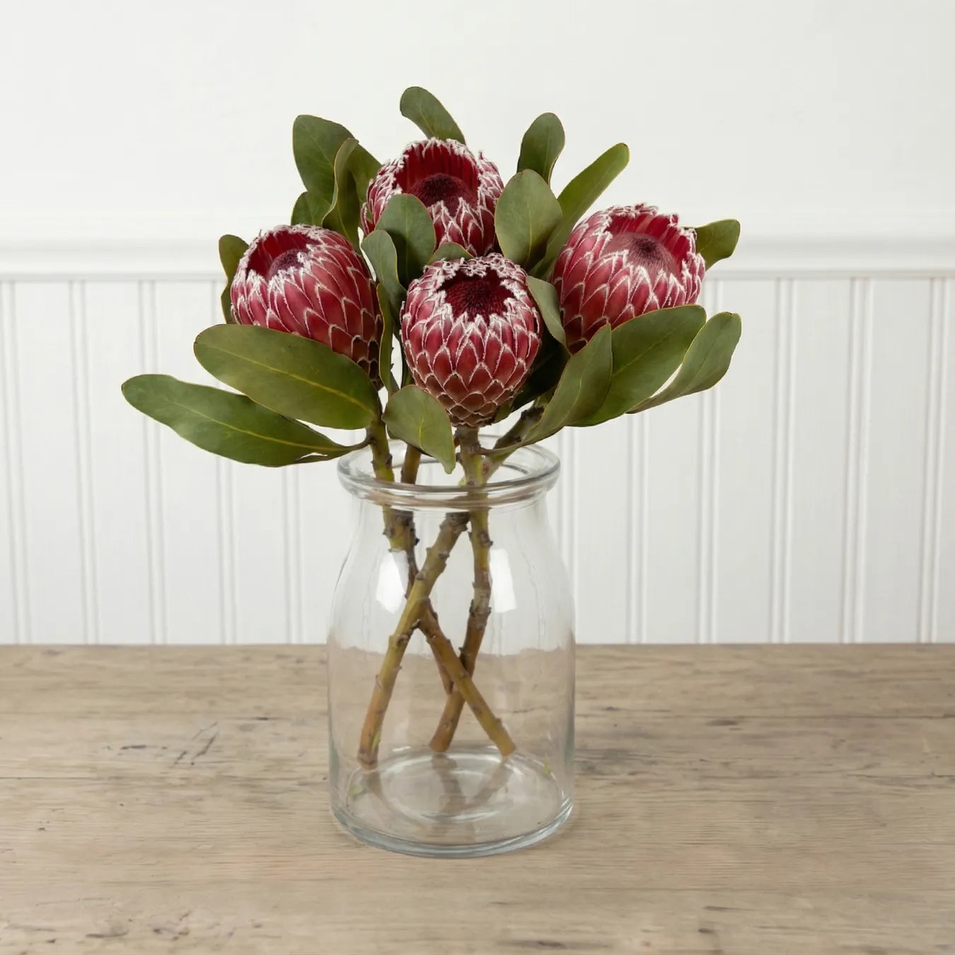 Protea Empress Box
