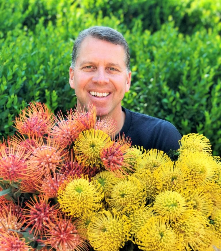 Pincushion Kendall Farms